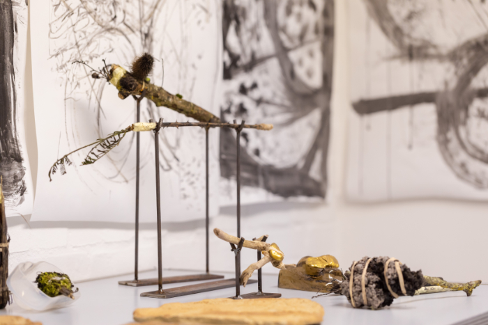 Table displaying tools on metal stands. They are made with masking tape, twigs, leaves and rocks. Abstract ink drawings behind.