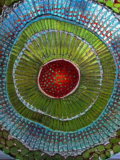 Detail of fused glass artwork based on the patterns in a plant cell.