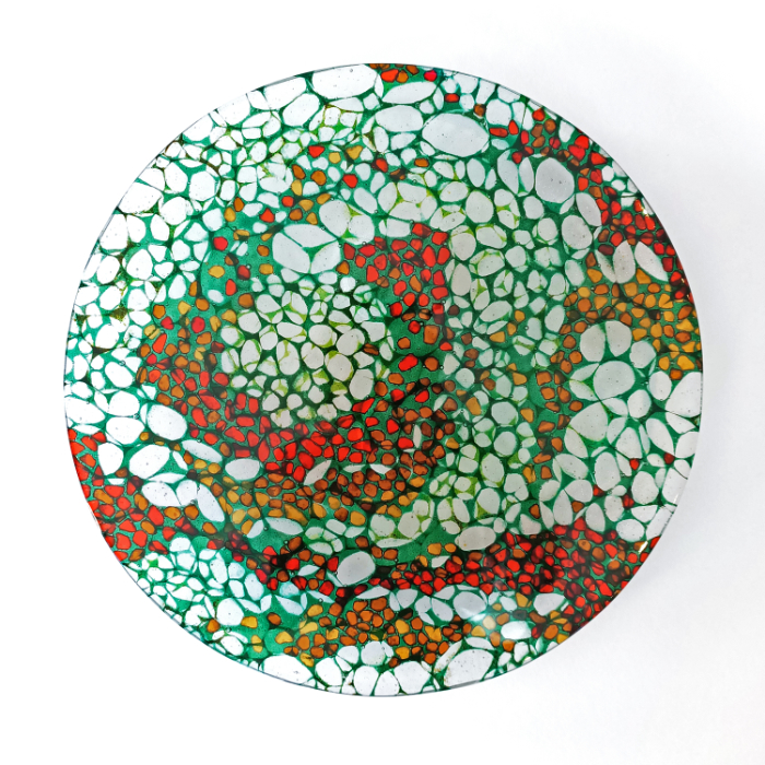 The first plant cell-inspired artwork that Rachael made at a large scale (30cm diameter).