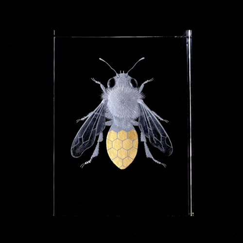 Bee glass sculpture by Nancy Sutcliffe