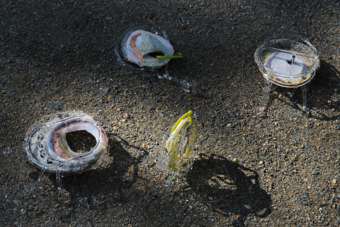 Glass artwork collection called A Scaffold that is a Shackle the is a Shell.