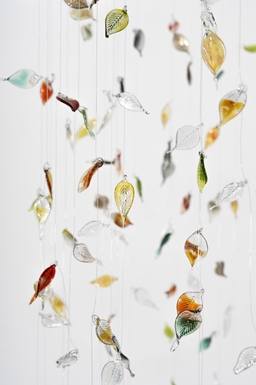 Close-up image of some of the 1000 flame worked glass leaves in the installation '1000 Fleeting Moments'. The leaves are many different colours and clear.