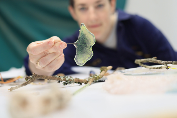Glass artist Sophie Longwill in soft focus in the background holding a delicate glass ginkgo leaf.