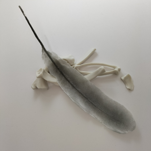 A pate de verre feather laid on porcelain bones.