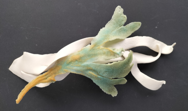 Porcelain seaweed with pate de verre seaweed laying on top in tones of pale green and yellow.