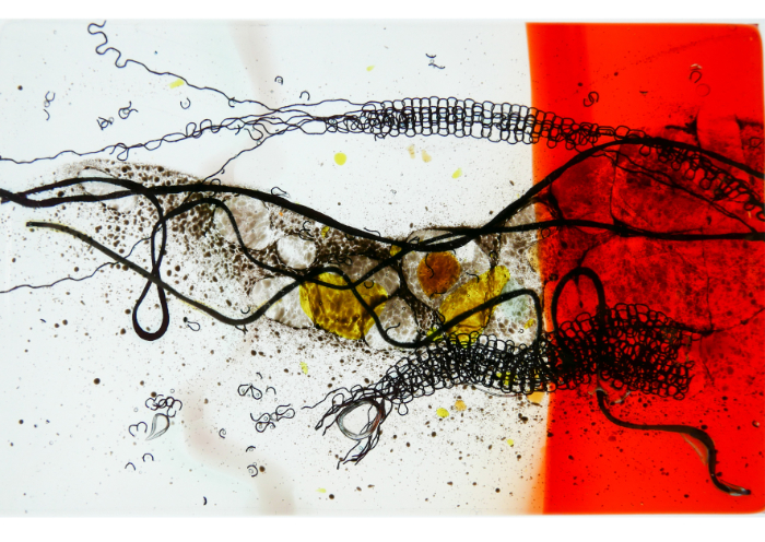 Fused glass with inclusions mounted on mouthblown glass.