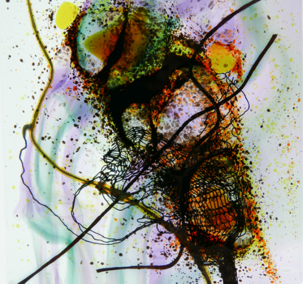 Detail of fused glass and metal inclusions mounted on mouthblown glass.