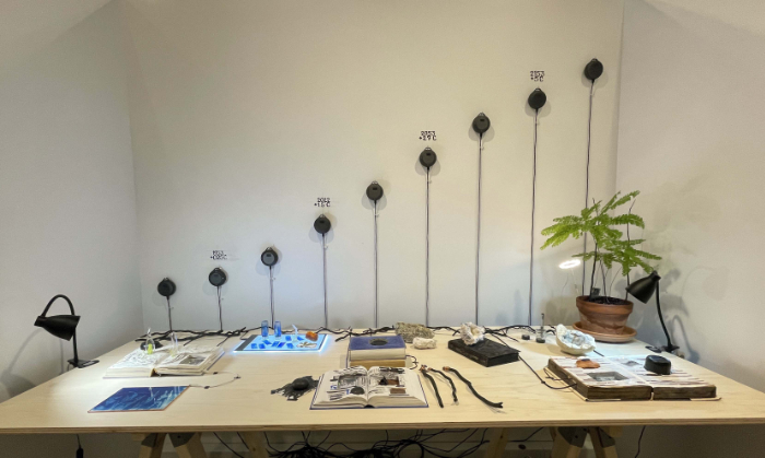 Interactive installation laid out on a table top, featuring cast glass, glass cyanotypes, hacked books, natural objects and touch-interactive audio.