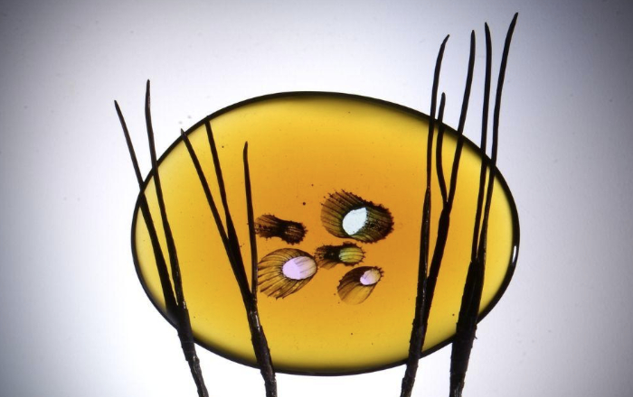 Detail of glass artwork by Keith Cummings featuring a horizontal oval of deep amber coloured glass with random holes supported by metal bars that look like vertical sticks.