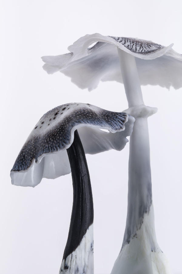 A pair of delicate glass sculptures in black and white tones of Tippler's Bane mushrooms.