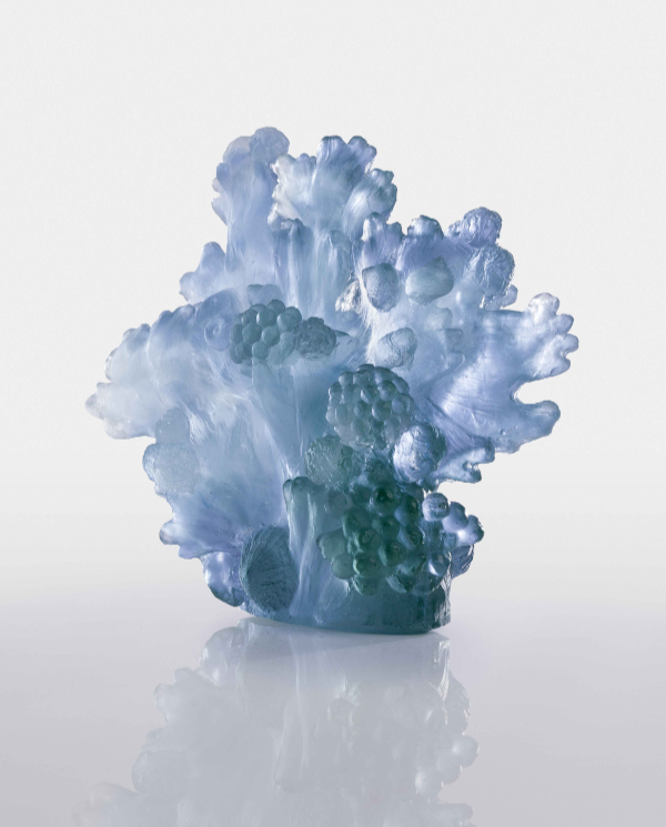 Delicate blue cast glass of coral .