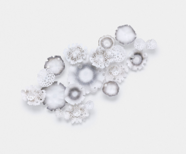 Collection of glass pieces representing fungi and other natural objects made in tones of white, grey and brown using pate de verre and other glass techniques.