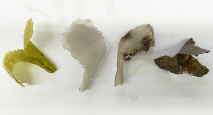 A close-up of 4 3D fungus shapes in greens and greys made using a moulded pate de verre technique.