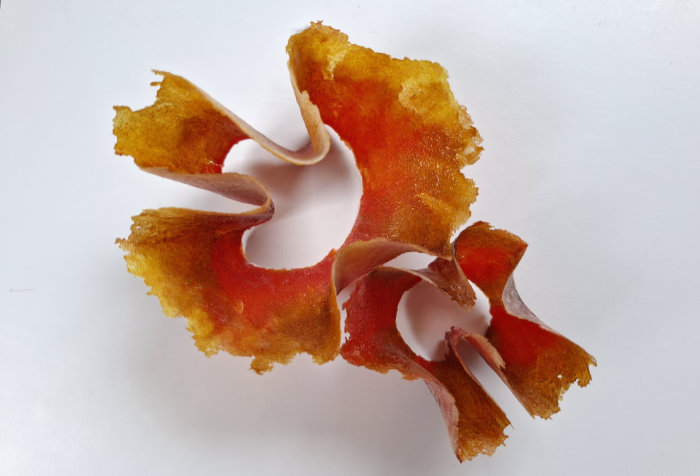 A 3D glass orchid shape in pate de verre in bold reds and oranges.
