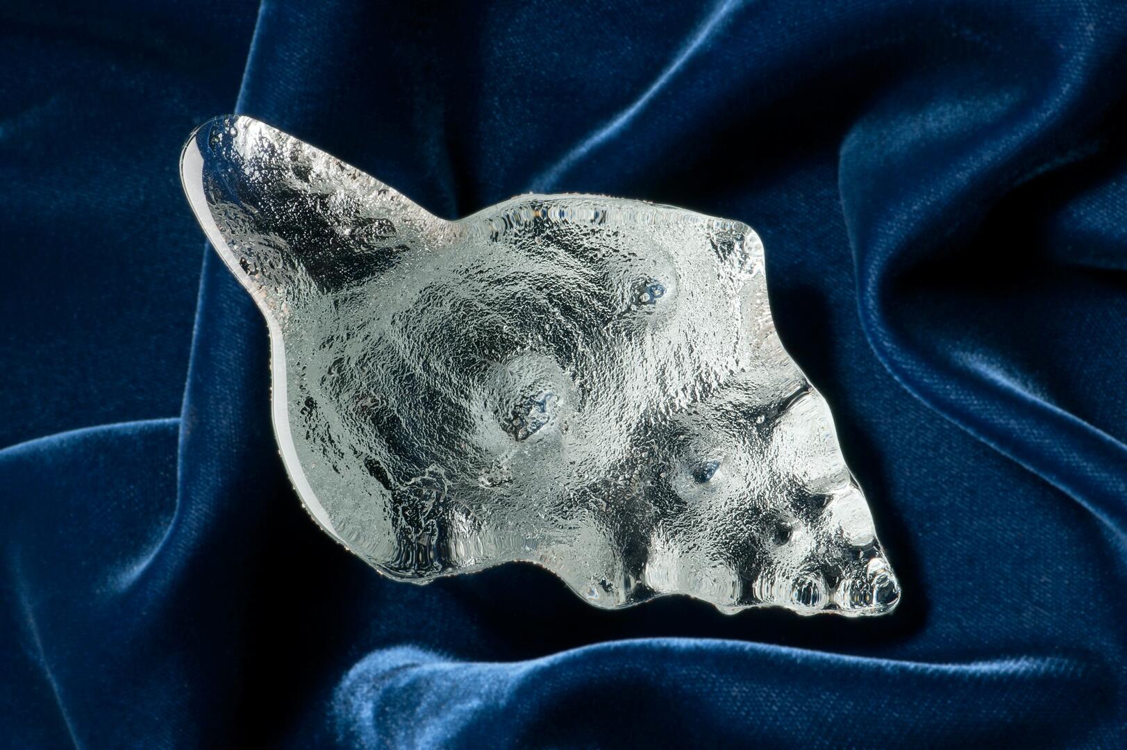 What does the  sea shell hold? Carvings of years gone by.