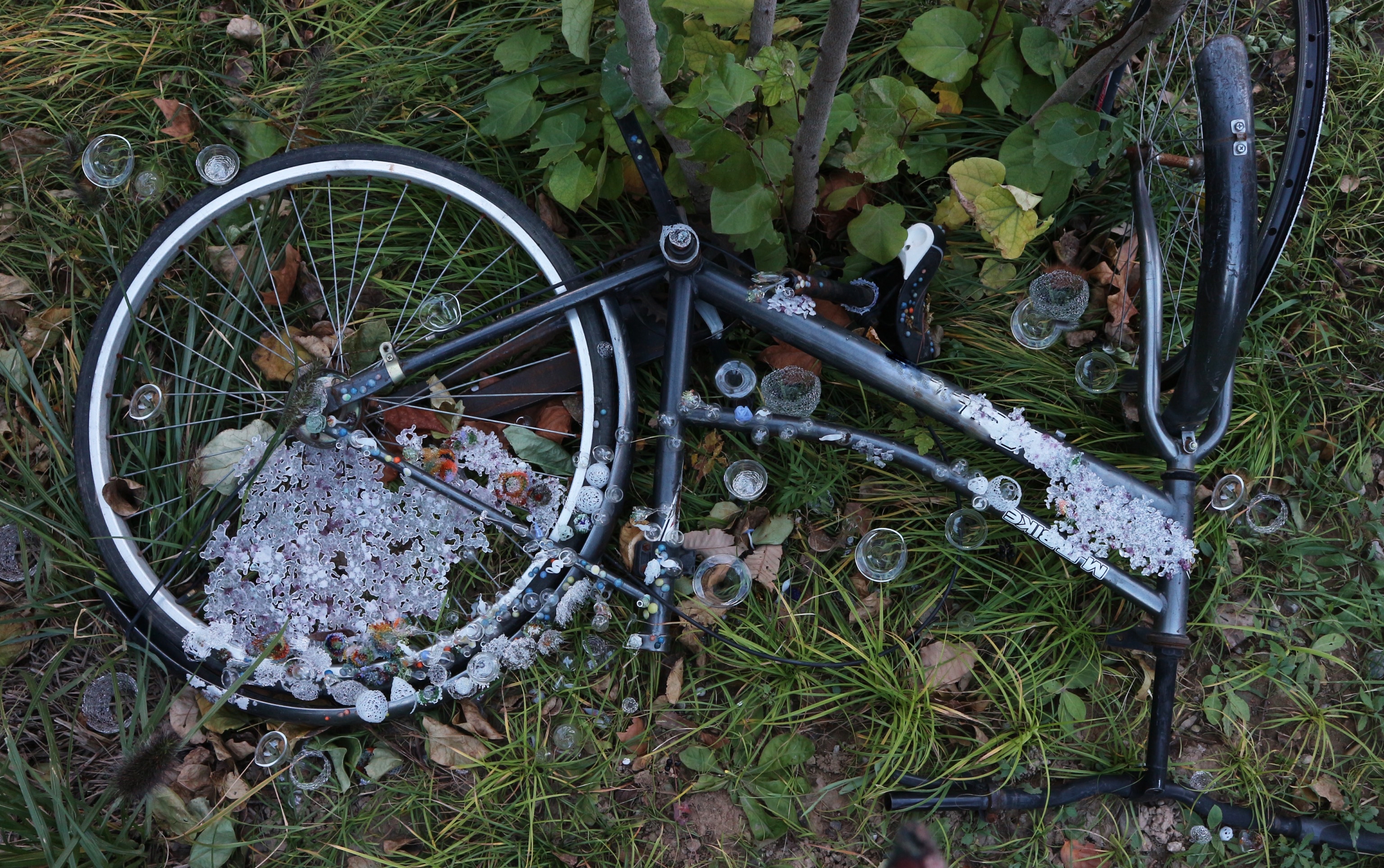 Decomposing a Bicycle