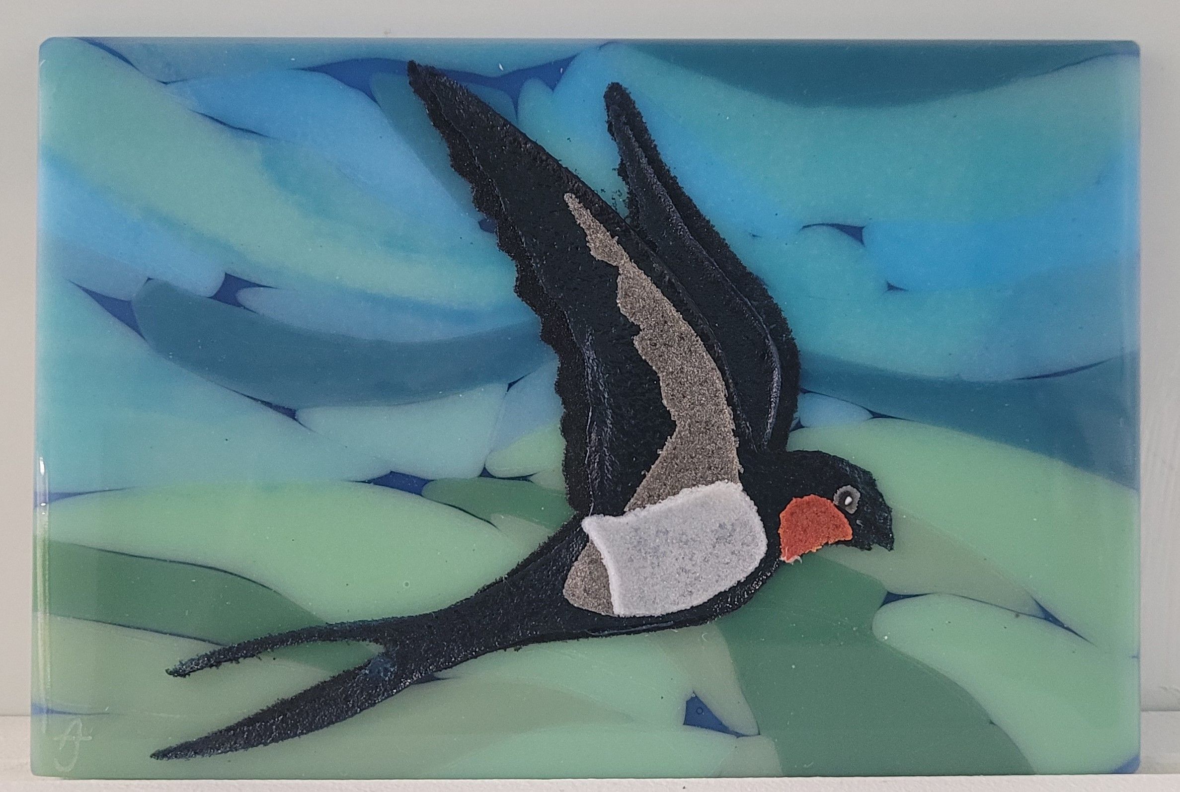 Swallow, Tanzania